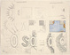 poster for Jasper Johns "Drawings 1997-2007"