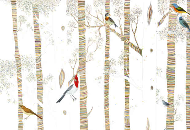 poster for Carrie Mari "Ornithology"