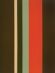 poster for Fanny Sanín "A Chromatic Journey, 1966-2006"