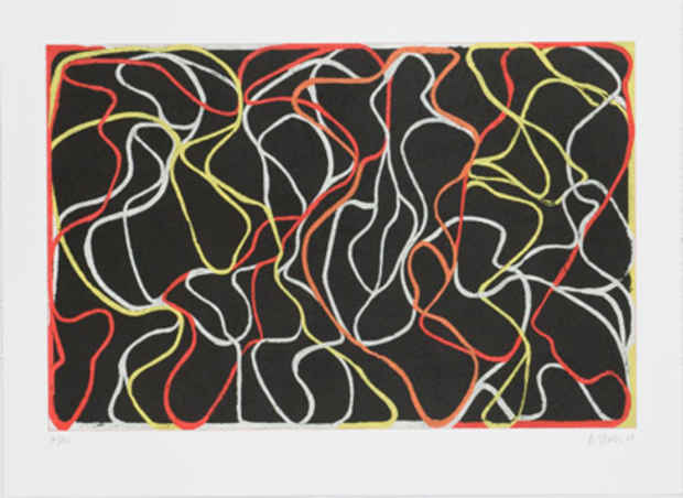 poster for Brice Marden "Prints"