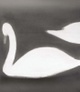 poster for Mats Gustafson "Swan"