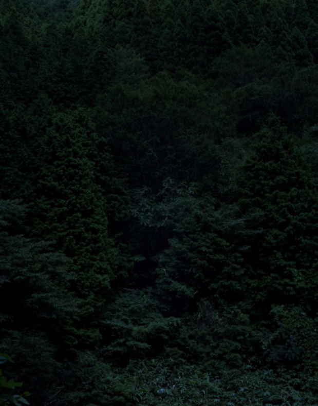 poster for Keita Sugiura "Dark Forest"