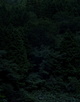 poster for Keita Sugiura "Dark Forest"