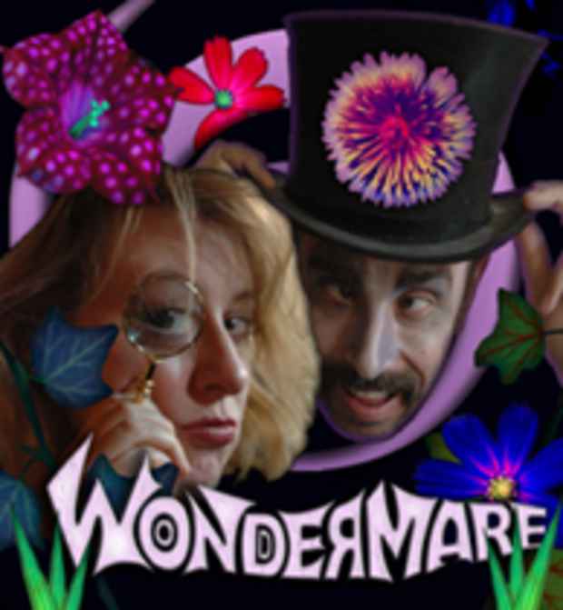 poster for "Wondermare" Exhibition 