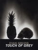 poster for Evan Gruzis "Touch of Grey"