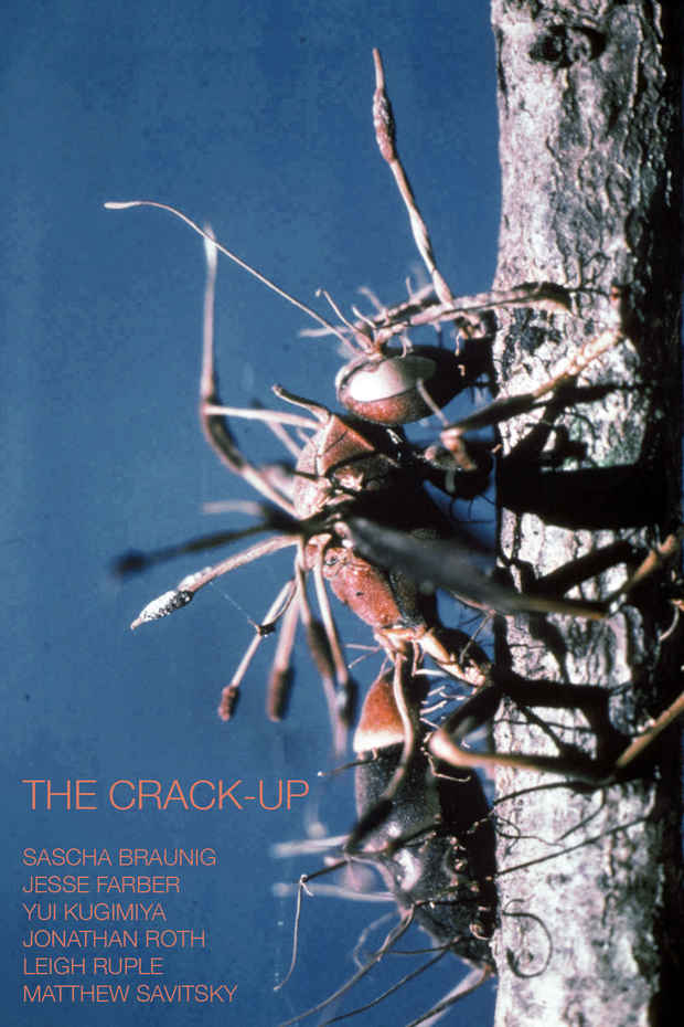 poster for "The Crack-Up" Exhibition