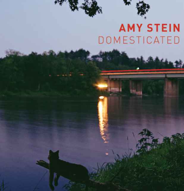 poster for Amy Stein "Domesticated"