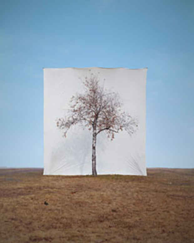 poster for Myoung Ho Lee "Tree"