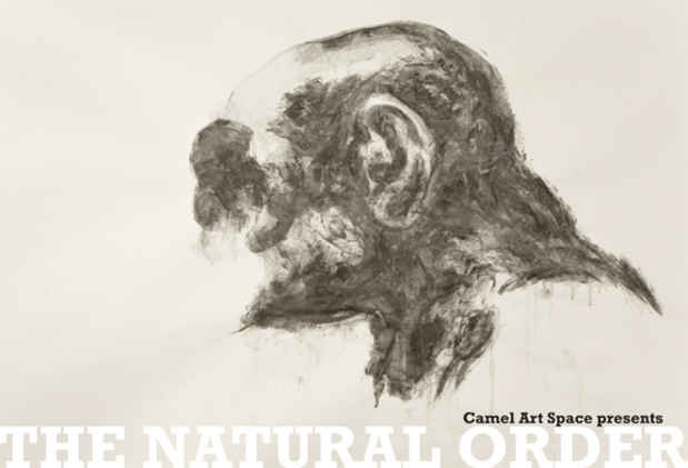 poster for "The Natural Order" Exhibition