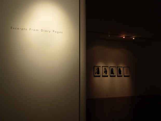 poster for "Excerpts from Diary Pages" Exhibition