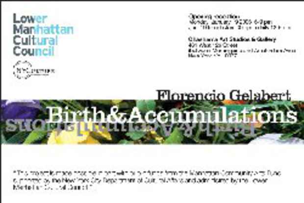 poster for Florencio Gelabert "Birth and Accumulations"