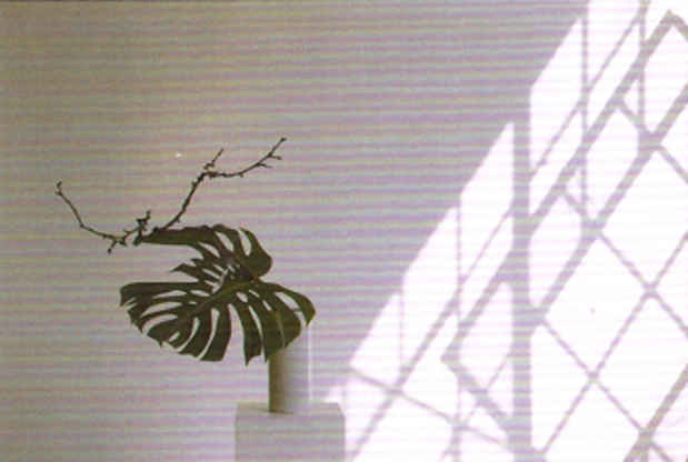 poster for Akita Kou "Ikebana Exhibition"