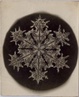 poster for Wilson A. Bentley "Snowflakes, Frost, Dew, Clouds"