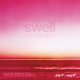 poster for "Swell: Art 1950-2010" Exhibition