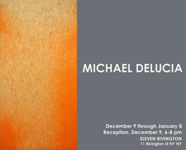poster for Michael DeLucia Exhibition