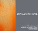 poster for Michael DeLucia Exhibition