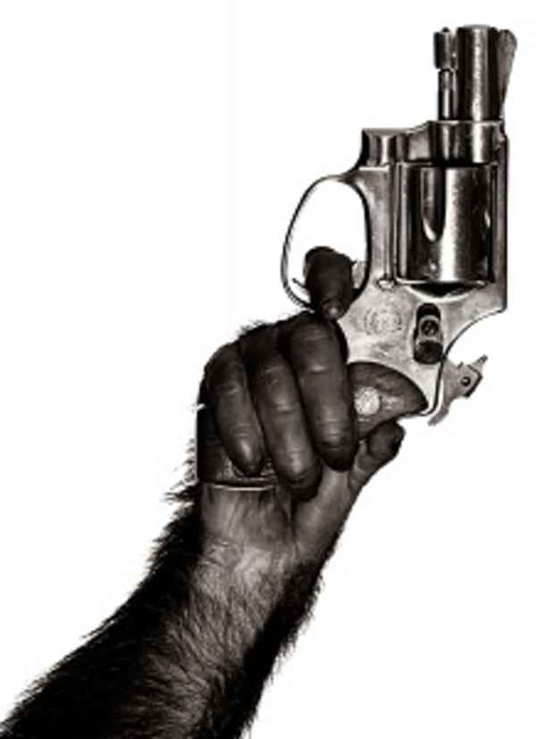 poster for Albert Watson "Monkey with Gun, New York City, 1992"