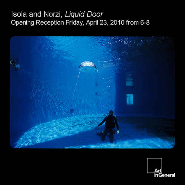 poster for Hilario Isola and Matteo Norzi "Liquid Door"