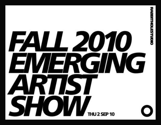 poster for The Fall 2010 Emerging Artist Show