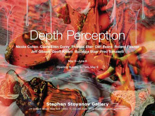 poster for "Depth Perception" Exhibition