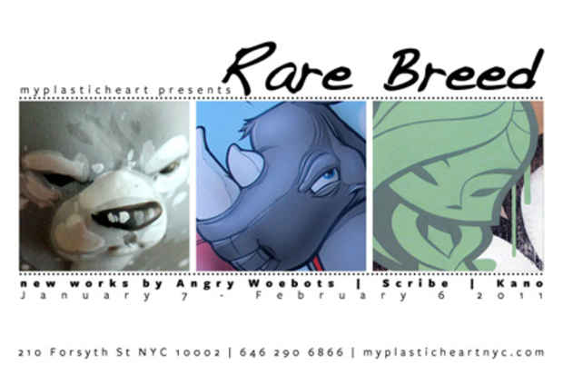 poster for "Rare Breed" Exhibition