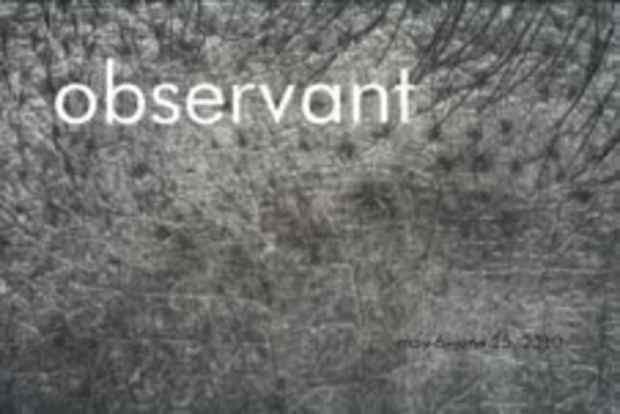 poster for "observant Exhibition" Artist Talk