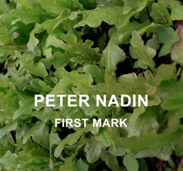 poster for Peter Nadin "First Mark"