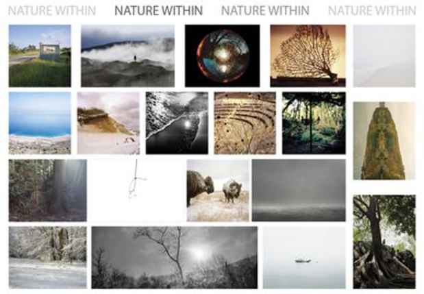 poster for "Nature Within" Exhibition