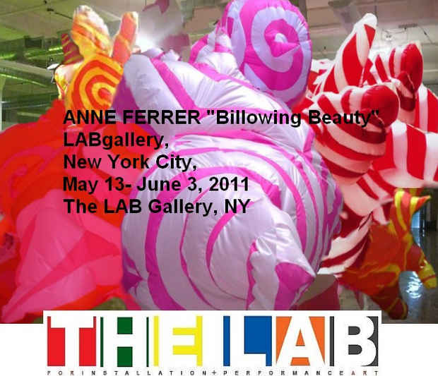 poster for Anne Ferrer "Billowing Beauty"
