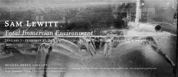 poster for Sam Lewitt "Total Immersion Environment"