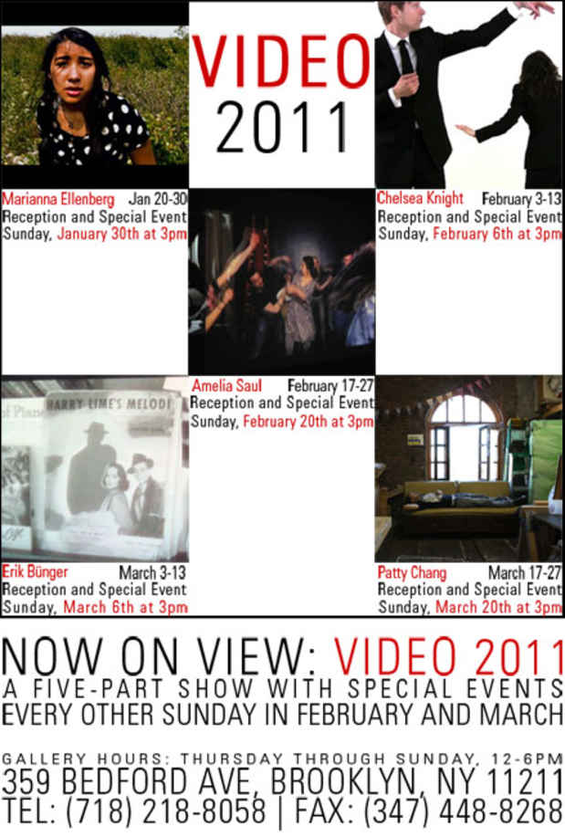poster for "Video 2011" Exhibition