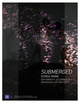 poster for Eunsu Kang "Submerged"