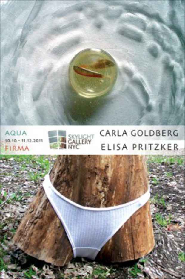poster for Carla Goldberg and Elisa Pritzker "Aqua Firma"