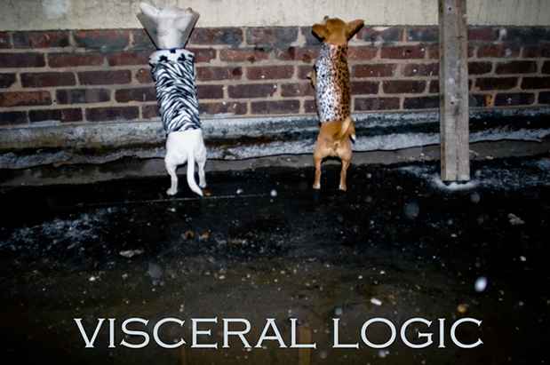 poster for "Visceral Logic" Exhibition