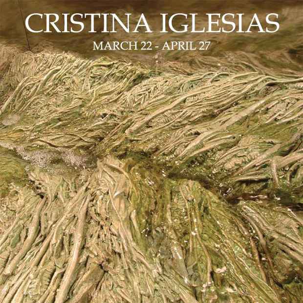 poster for Cristina Iglesias Exhibition
