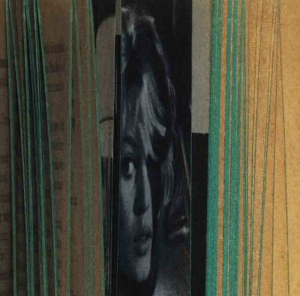 poster for Erica Baum "Naked Eye Anthology"