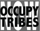 poster for "Occupy Tribes Now" Exhibition