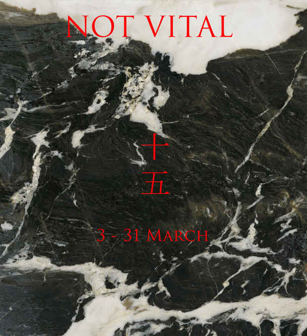 poster for Not Vital "十 五"
