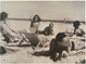 poster for "Flying Point Beach: The Photographs of John Jonas Gruen  And Artwork of The New York School" Exhibition