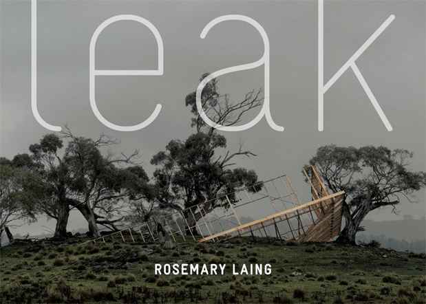 poster for Rosemary Laing "leak"