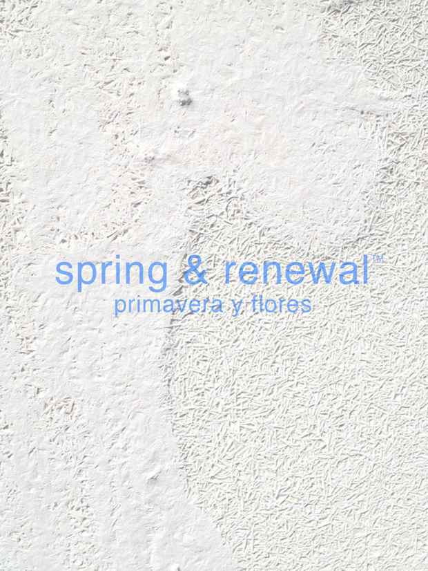poster for Patrick Cadenhead "Spring and Renewal"