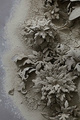 poster for "Swept Away: Dust, Ashes, and Dirt in Contemporary Art and Design" Exhibition