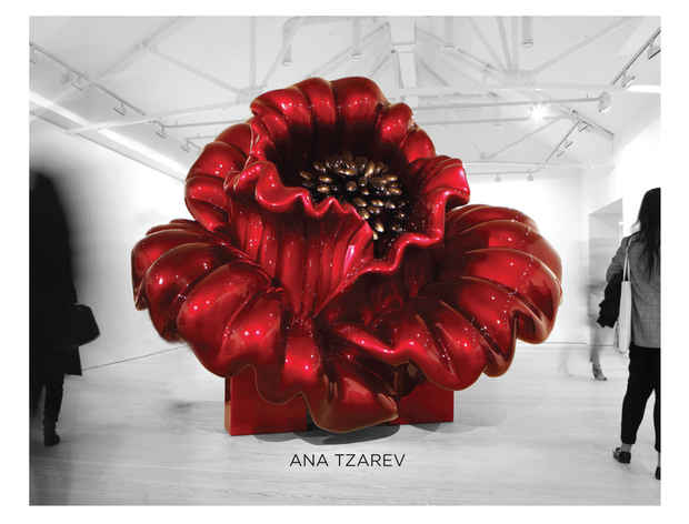 poster for Ana Tzarev "Exposed" Public Opening & Reception 
