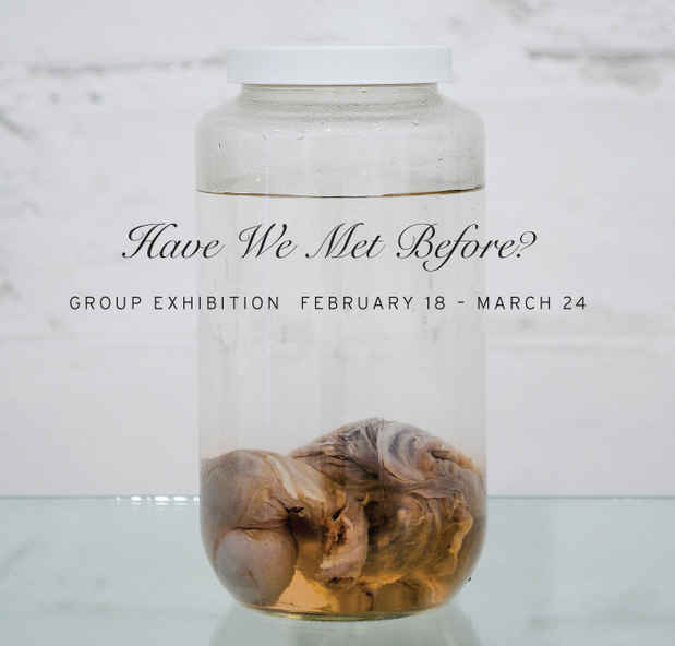 poster for "Have We Met Before?" Exhibition