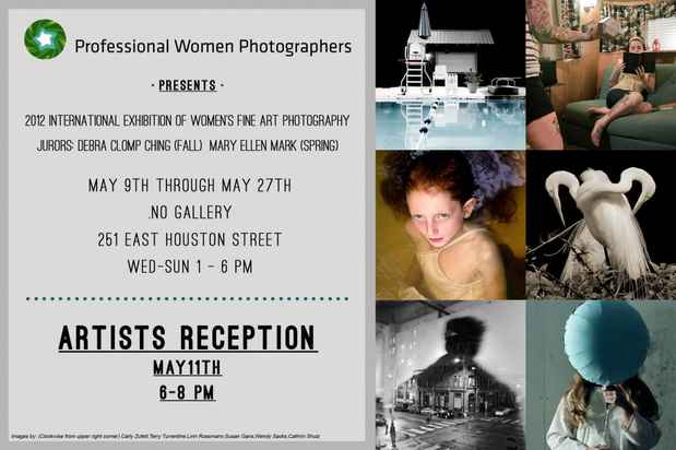 poster for "Professional Women Photographer" Exhibition