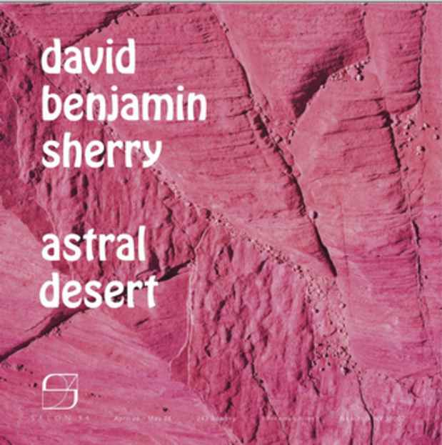 poster for David Benjamin Sherry "Astral Desert"