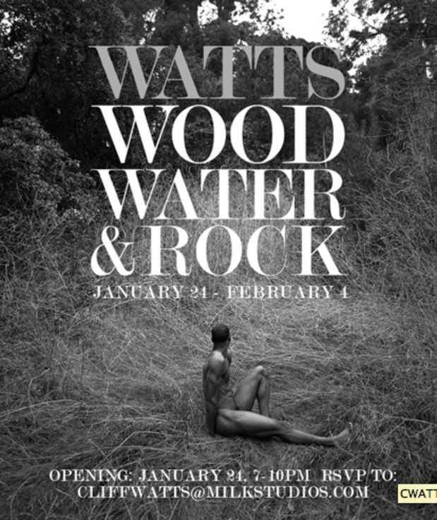 poster for CLIFF WATTS "WOOD WATER &ROCK"
