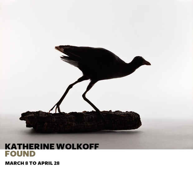 poster for Katherine Wolkoff "Found"
