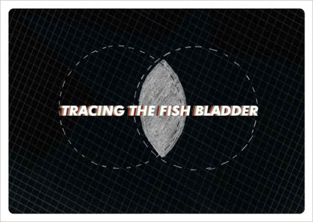 poster for "Tracing The Fish Bladder" Exhibition