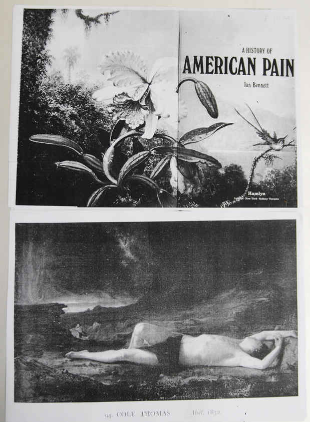 poster for Wineke Gartz “American Pain”